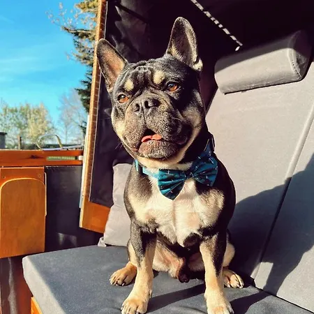 In't Noord Apartament *