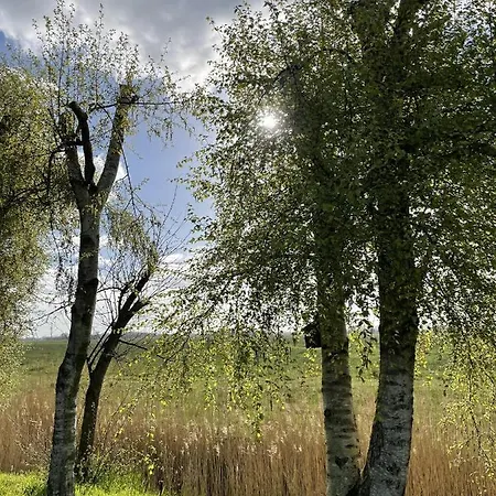 Apartament In't Noord Tossens