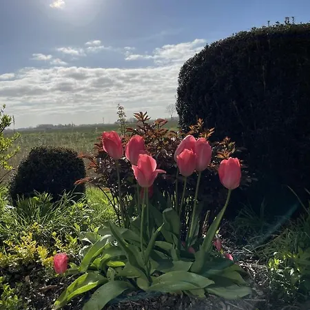 Apartament In't Noord Tossens