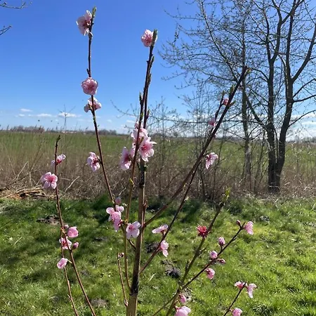 In't Noord * Tossens