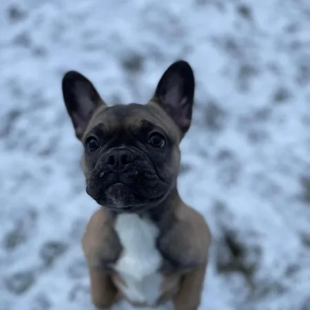 Apartament In't Noord