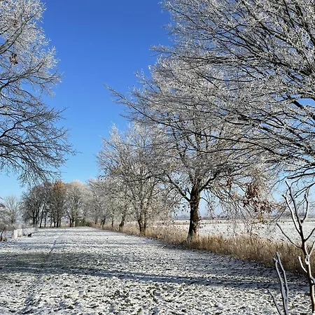Apartament In't Noord