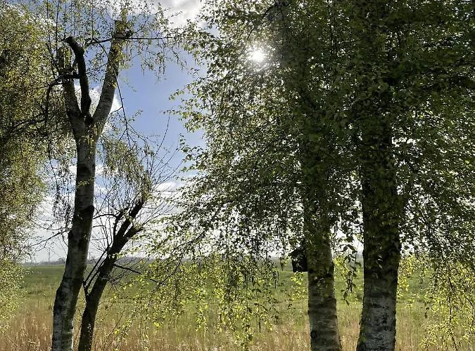 Daire In't Noord Tossens