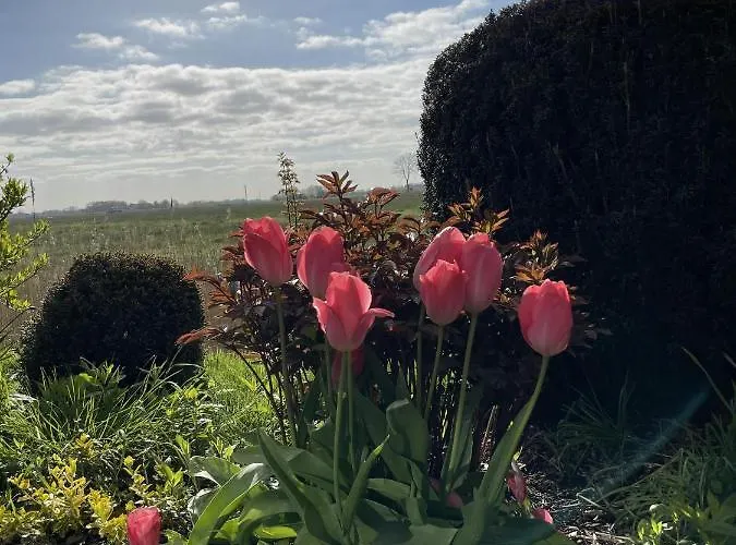 Daire In't Noord Tossens