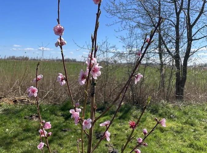 In't Noord * Tossens